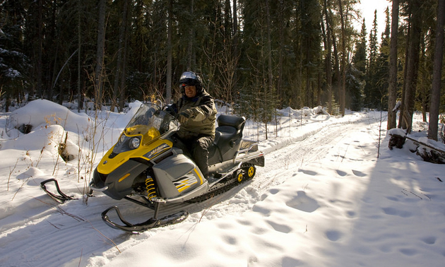 A Prince Albert snowmobiler is out on a wooded trail.