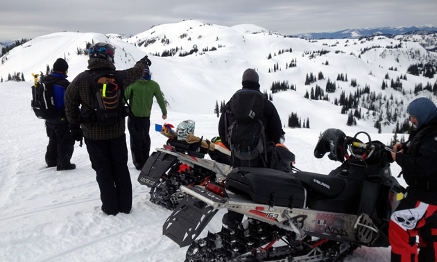 A group of snowmobilers making observations. 