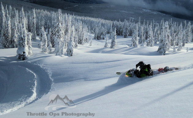 A snowmobiler carving the snow in Fernie. 