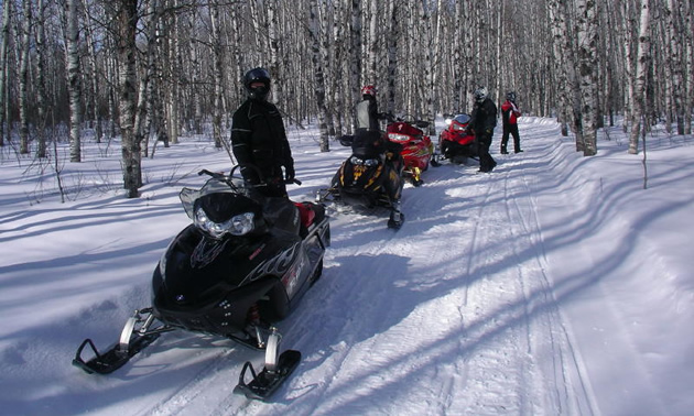 A person wearing black on a green sled with a person behind them on a yellow sled. 