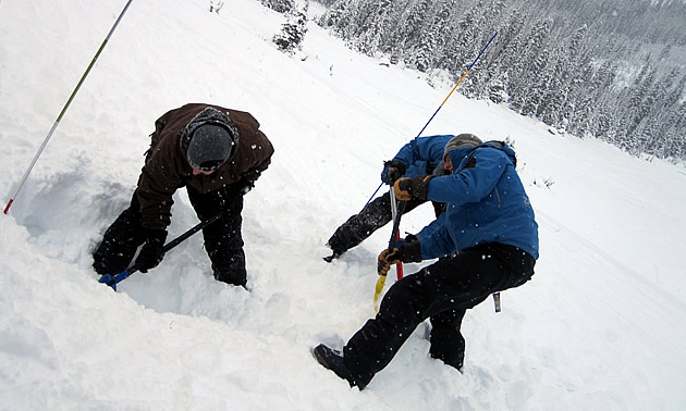 Three avalanche rescuers demonstrating the proper shovelling technique. 