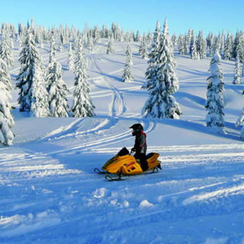 person on a sled in a wintery forest