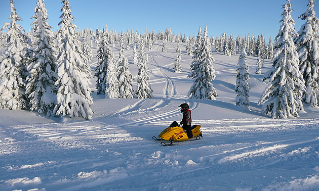 child riding a snowmobile