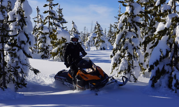 Picture of snowmobiler in deep powder. 