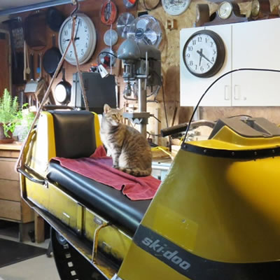A cat sitting on a vintage Ski-Doo snowmobile