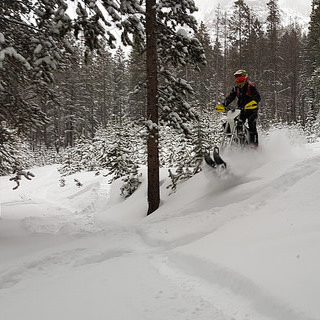 The CMX Snow Bike's unique dual front skis allow for better handling and flotation when you need it most. 