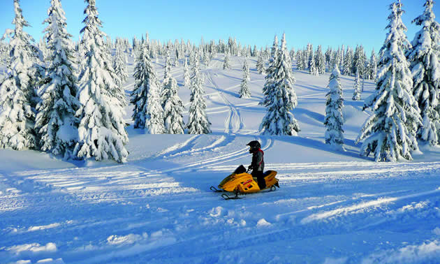 person on a sled in a wintery forest