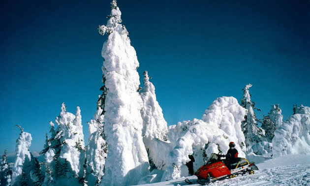 guy snowmobiling in Yellowstone