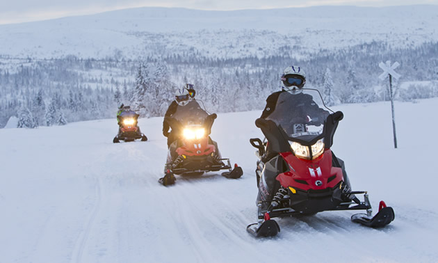 Three people on snowmobiles in Northern Sweden. 