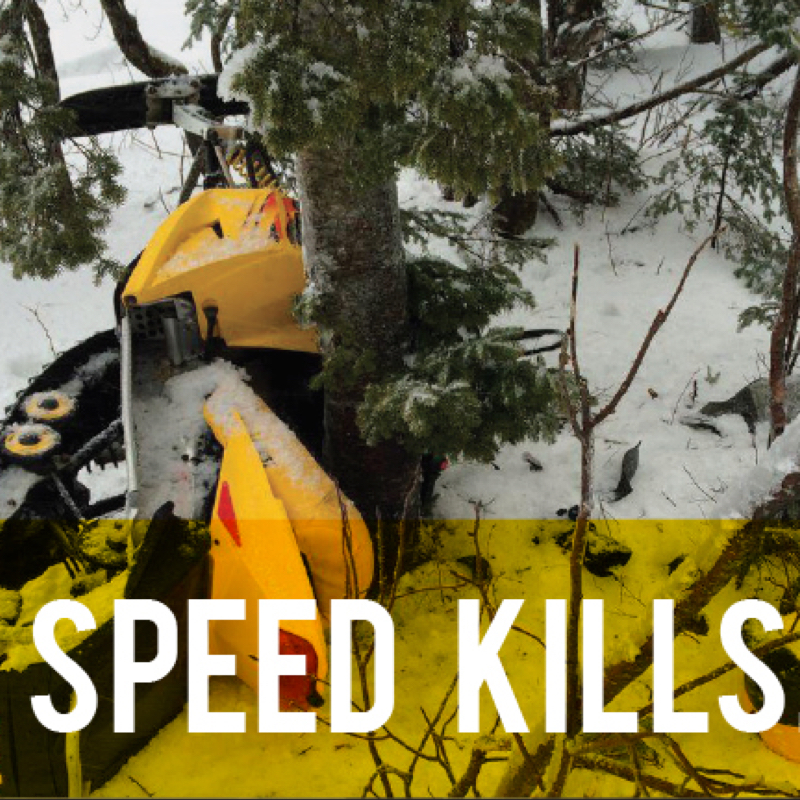 A snowmobile wrapped around a tree. Picture used for Manitoba's Snoman Speed Kills Campaign.