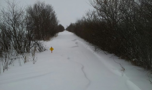 A section of Saskatoon trail sits ready to be groomed.

Photo courtesy Gerri Sametts