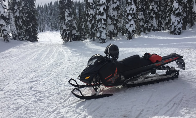 Picture of snowmobile that was stolen. 