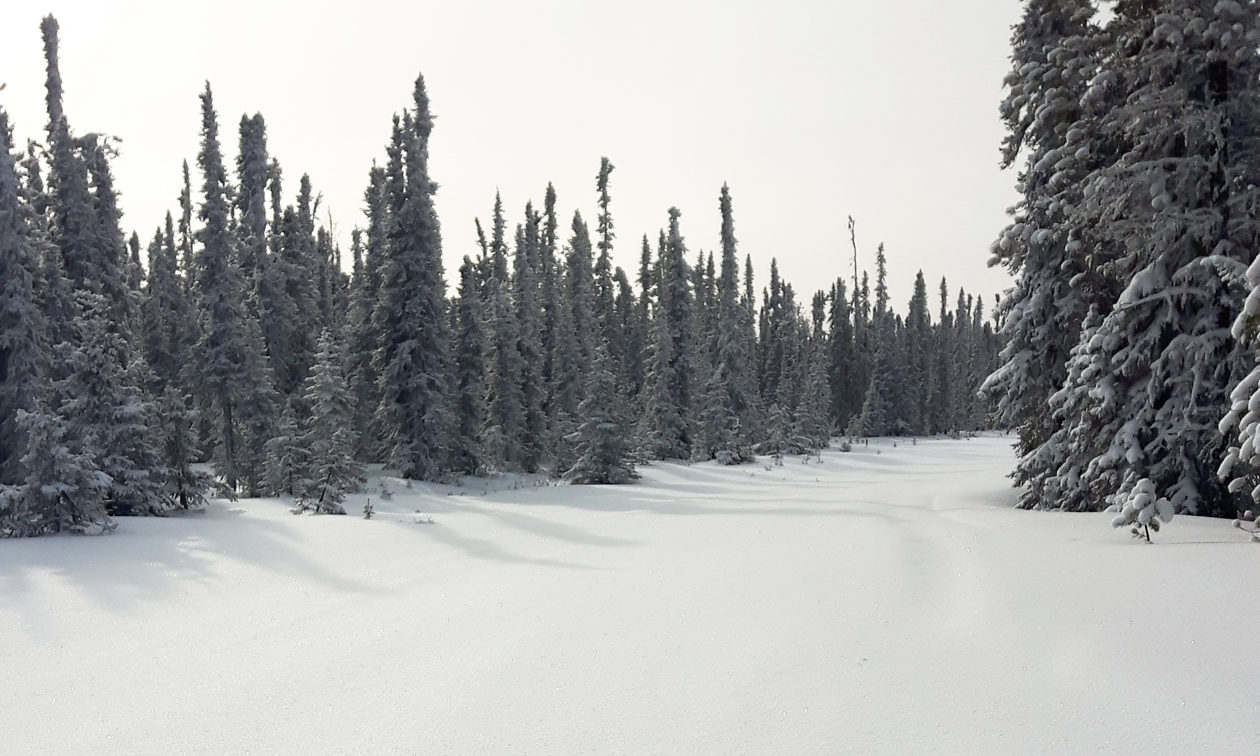 Snowmobiling trails of the Golden Triangle and Trans-Canadian Snowmobile Trail.