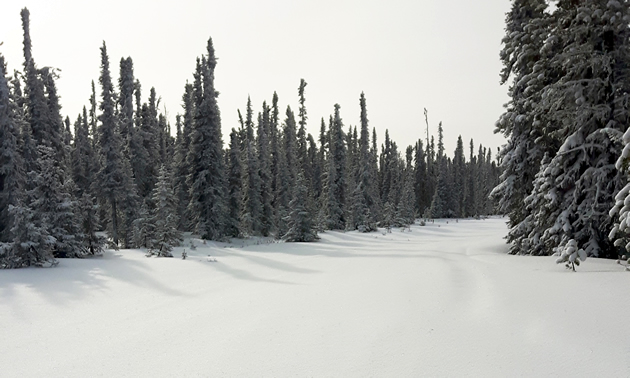 Snowmobiling trails in Swan Hills, Alberta.