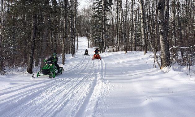 Three sleds riding on a trail in the Swan Valley.
