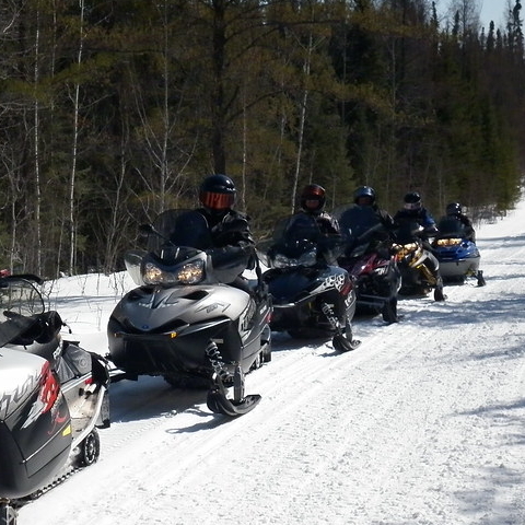 sleds lined up ready to head out on the trails
