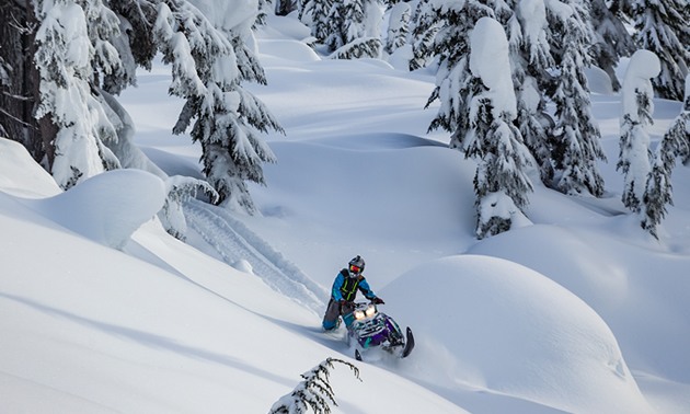 Ryan Thorley riding up a sidehill towards the camera. 