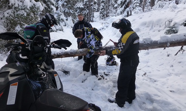 Members of the Timberline Cruisers working to clear off a trail. 
