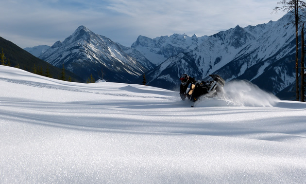 A snowmobiler lays down a carve in Golden. 