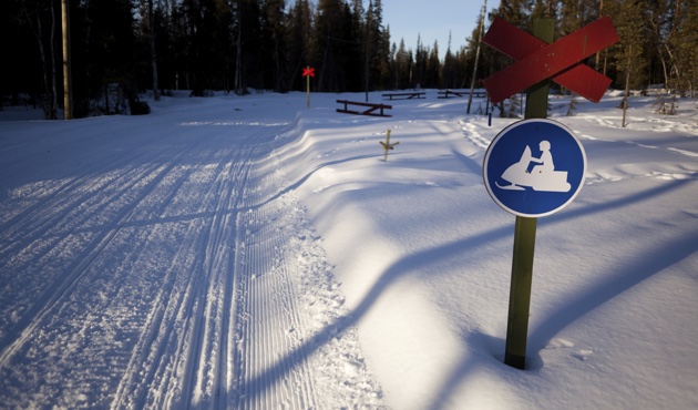 A snowmobile trail with a crossing sign and a sign indicating snowmobilers can cross. 