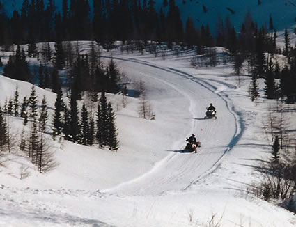 two people sledding through the woods