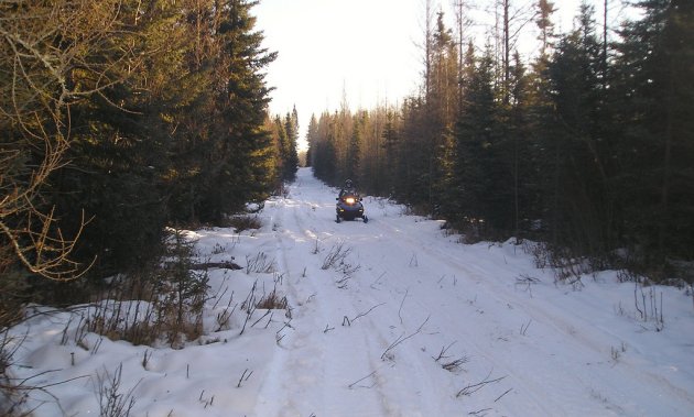 Once you see these snowmobiling pictures, you'll understand why Westlock is one of Alberta's top sledding spots.